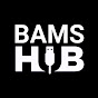 BAMS Hub logo