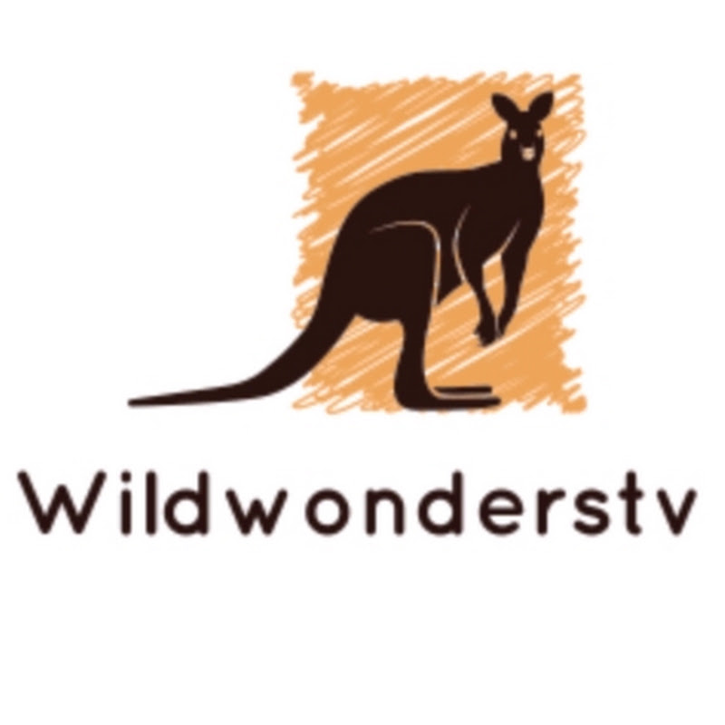 WildWondersTV profile avatar