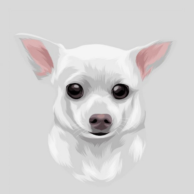 Viral Pets icon