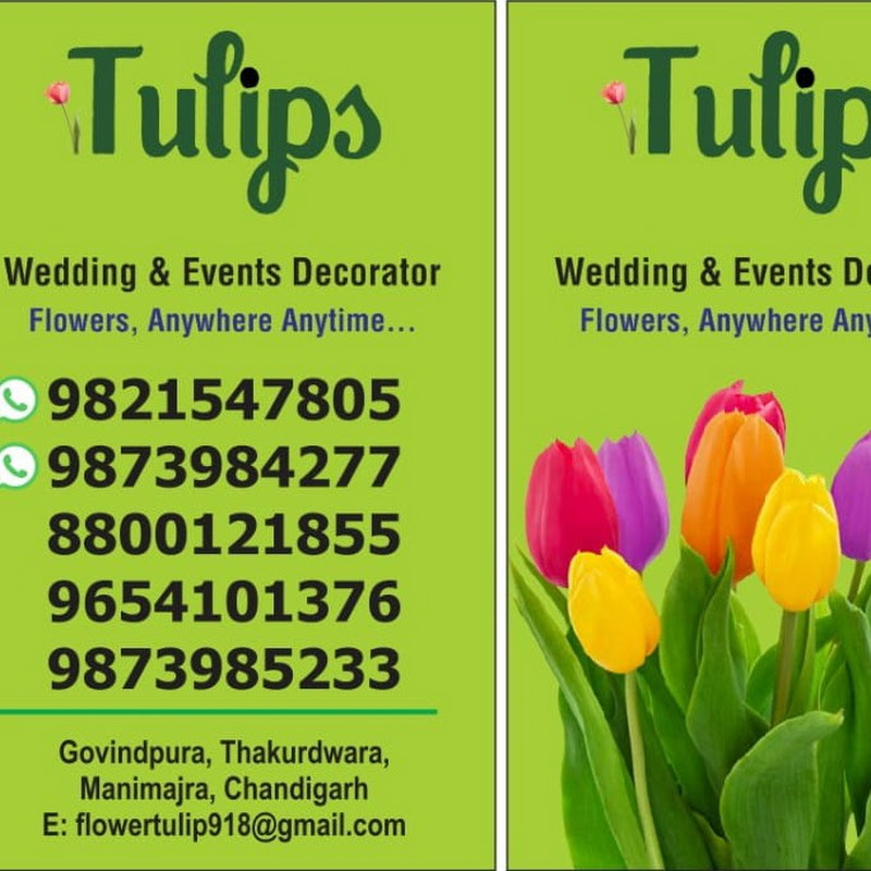 Tulips... Decor flower 