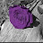 @GiGi-vi6dh
