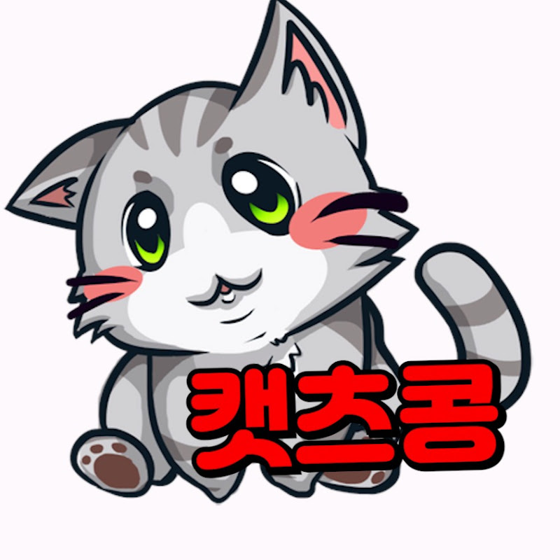 캣츠콩CATSKONG