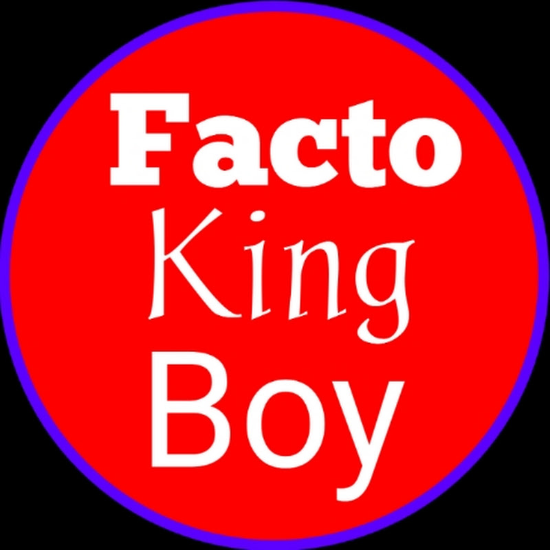 FactoKingBoy