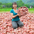 GBYJZlmofmE-channel-avatar-Phương's Harvesting Story