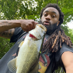 ShyGuyBassin