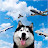 HuskyAviation