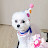 @user-mini92