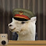 ypxS0MtPR74-channel-avatar-General Alpaca EXTRA and General Alpaca