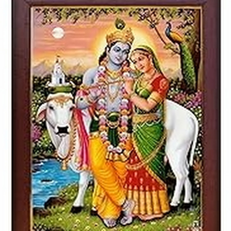 harshil Prajapat 