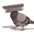 Hvr7_CbTO80-channel-avatar-JONLI IJROLAR