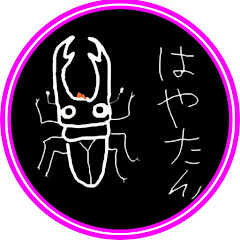 Логотип каналу はやたんch【クワガタ絶対捕るマン】