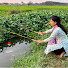 j3lOcy03vFs-channel-avatar-Professional Fishing Channel