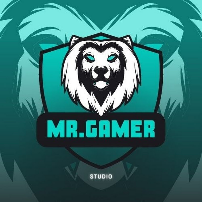 Mr Gamer