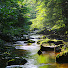 Aj98CLZyPSM-channel-avatar-Naturescapes