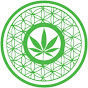 MOCA Health Cannabis Clinic logo