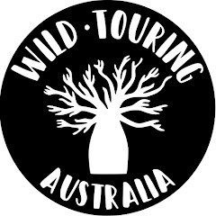 Wild Touring Avatar