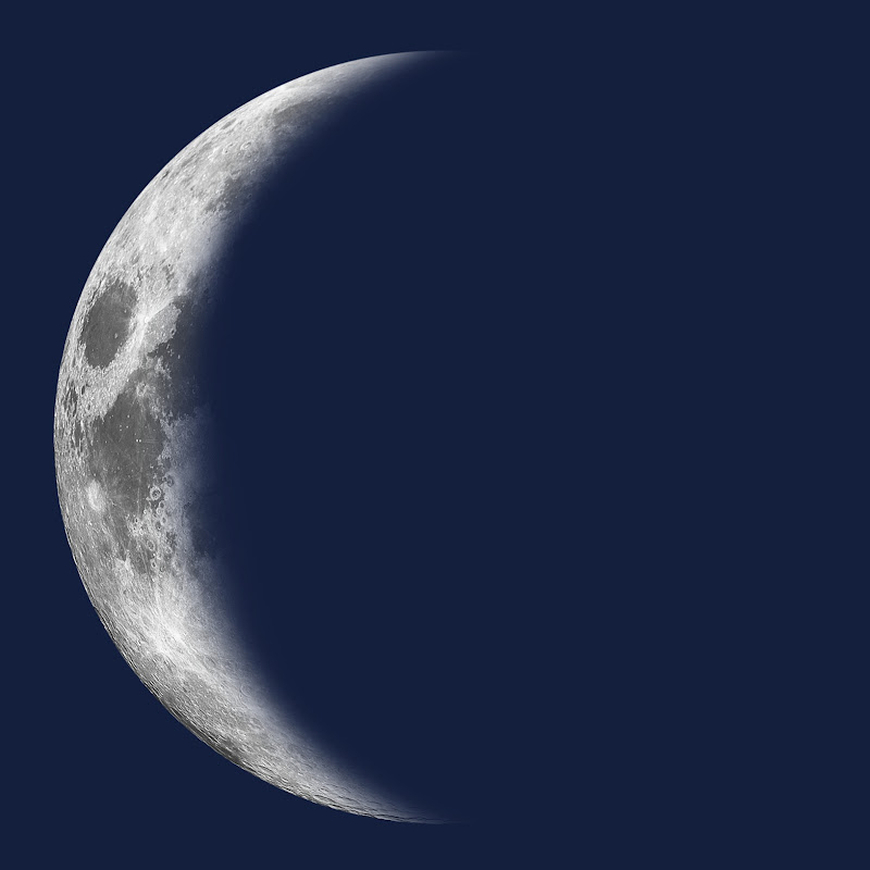 Johannes Helmer Pedersen - Topic