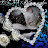 @dogcat-i9o