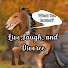 NvCYgQGYHGE-channel-avatar-Live Laugh Divorce