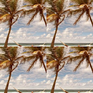 thumbnail img1x1