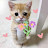@My..name..toleen