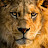 @بحرالحزن-ن2و