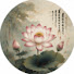 W29idsTlXYs-channel-avatar-抱朴守拙