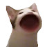 buxopFR4VXQ-channel-avatar-Adumh00man