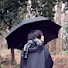5C4PW4r5abM-channel-avatar-朗読とまおちゃんねる
