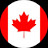 @CanadianVideoVigilante Avatar