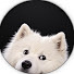 ieLPn0gdpEU-channel-avatar-Your_Kryptonite7
