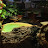 @Trafficlight_tortoises