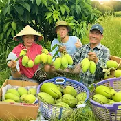 Hương Mạ Non
