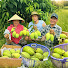 2KPL4JkjGeM-channel-avatar-Hương Mạ Non