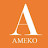 @AmekoRealty