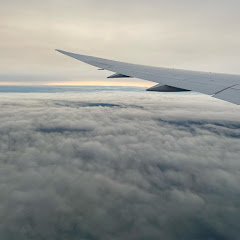 カリカリアイスバー