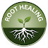 wEesPskFGtM-channel-avatar-Root Healing