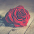 j1_tX7dtHmk-channel-avatar-Flortzen