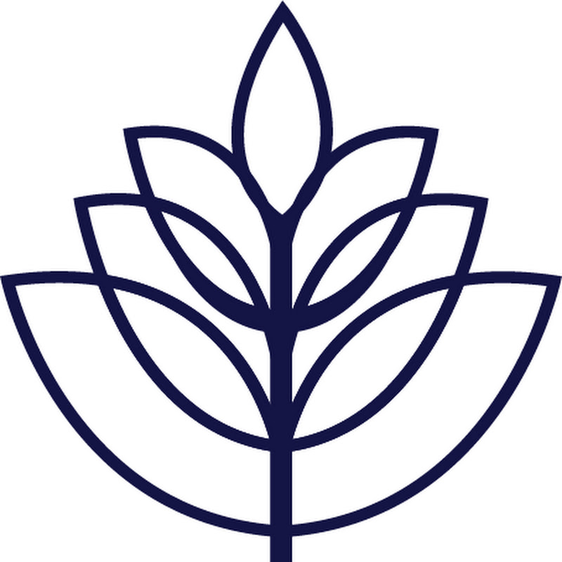 Brighter Wealth with David Sandhu