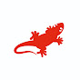 Salamander Pumps logo