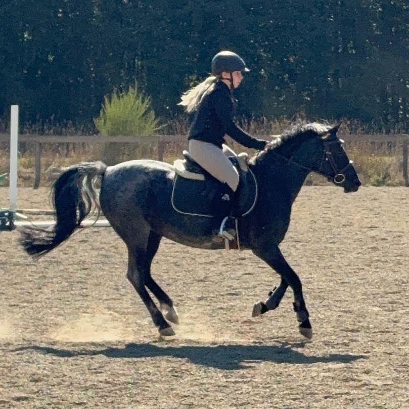 𝑻𝒌•𝒆𝒒𝒖𝒆𝒔𝒕𝒓𝒂𝒊𝒏