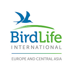 Логотип каналу BirdLife Europe and Central Asia