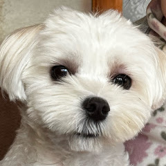 視聴用アイコン画像