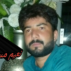 Saraiki Point