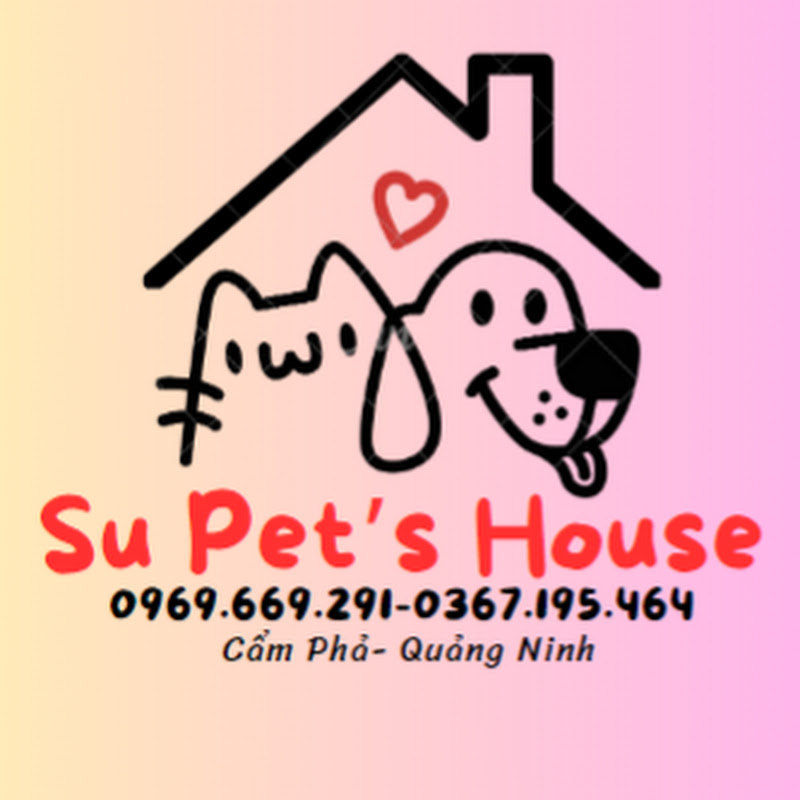 Su Pet's House- Corgi and Bengal cat in Viet Nam