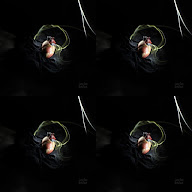 thumbnail img1x1