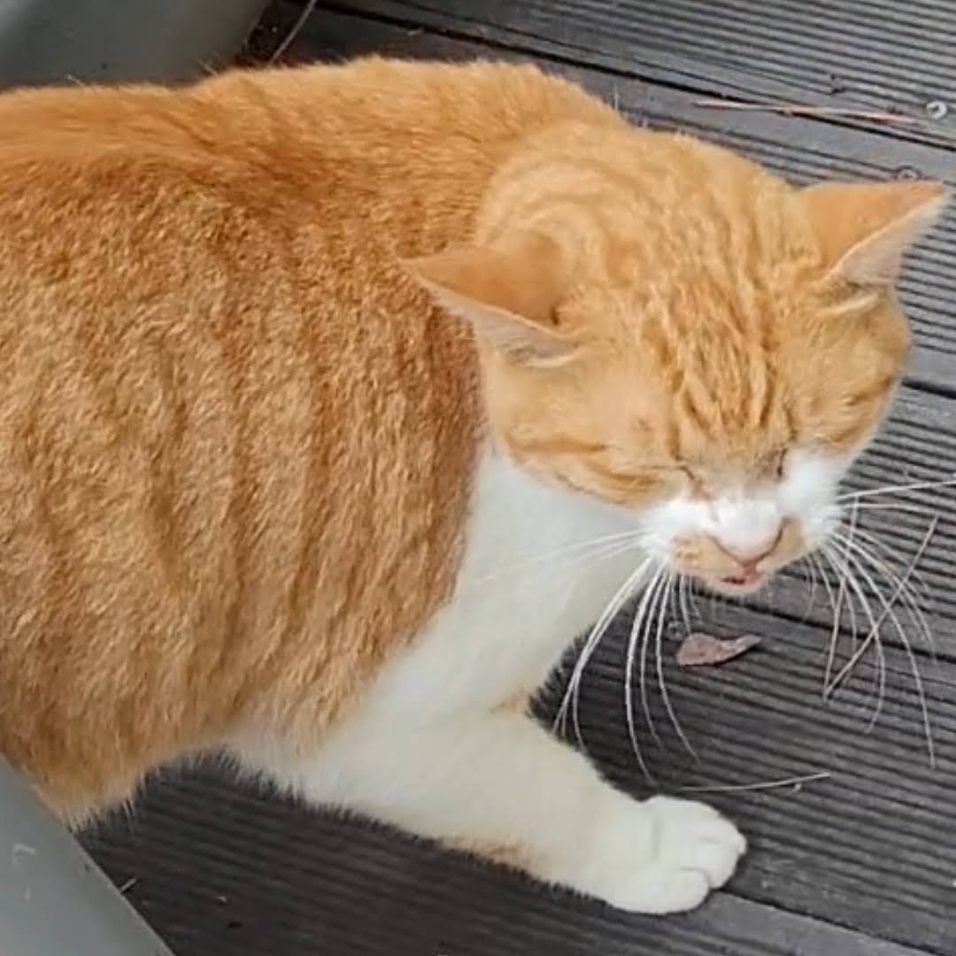 Post from 깜냥이