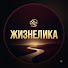 _VQEM977pbU-channel-avatar-Жизнелика