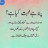 @talibshaikh3604