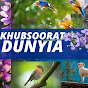 Khubsoorat Dunyia (KD)  logo